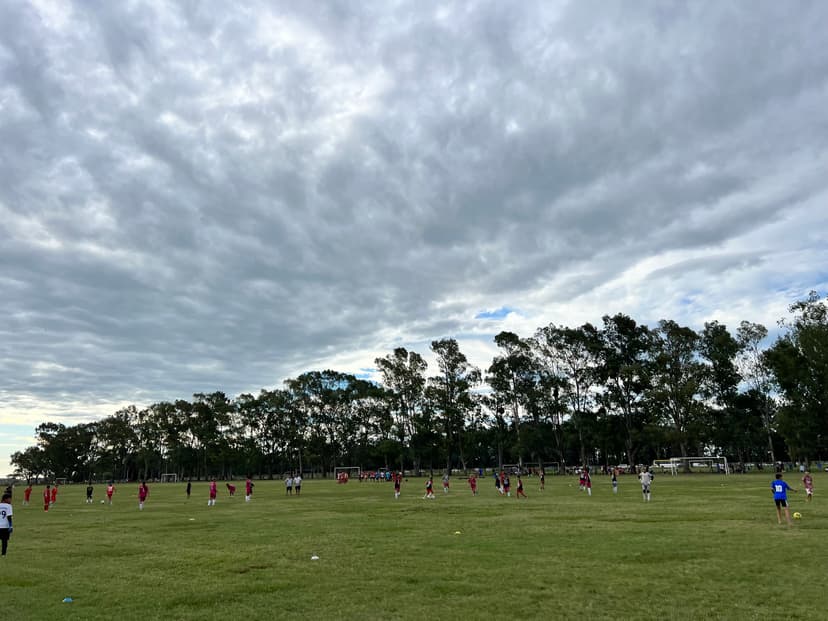 Imagen Scouting & Torneos